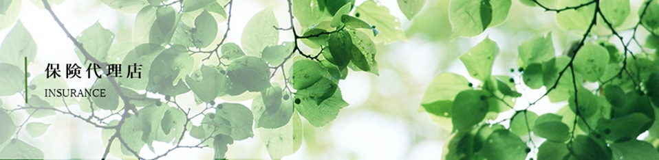 保険代理店